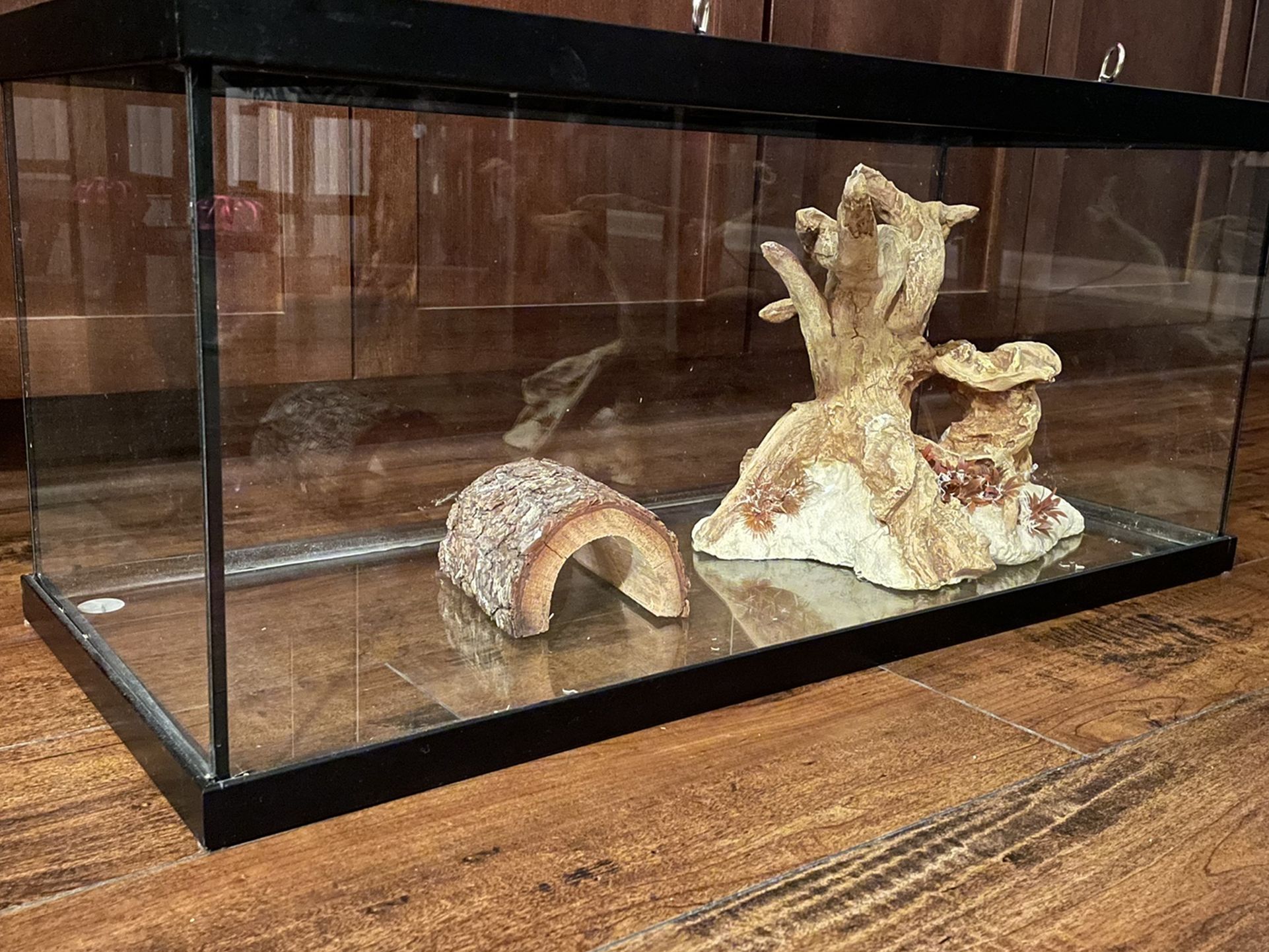 20 Gallon Reptile Tank