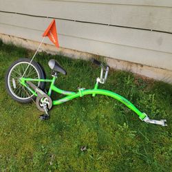 WeRide  Co Pilot  Treler BIKE 