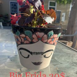 Frida Kahlo Flower Pots