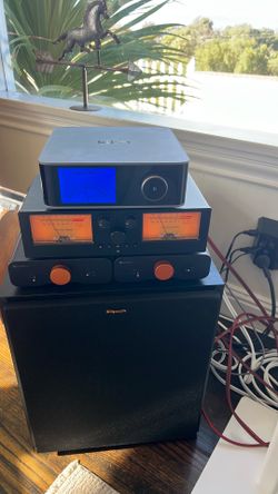WiiM ultra 2 Fosi amps with sparkos opp amps and a douk audio signal