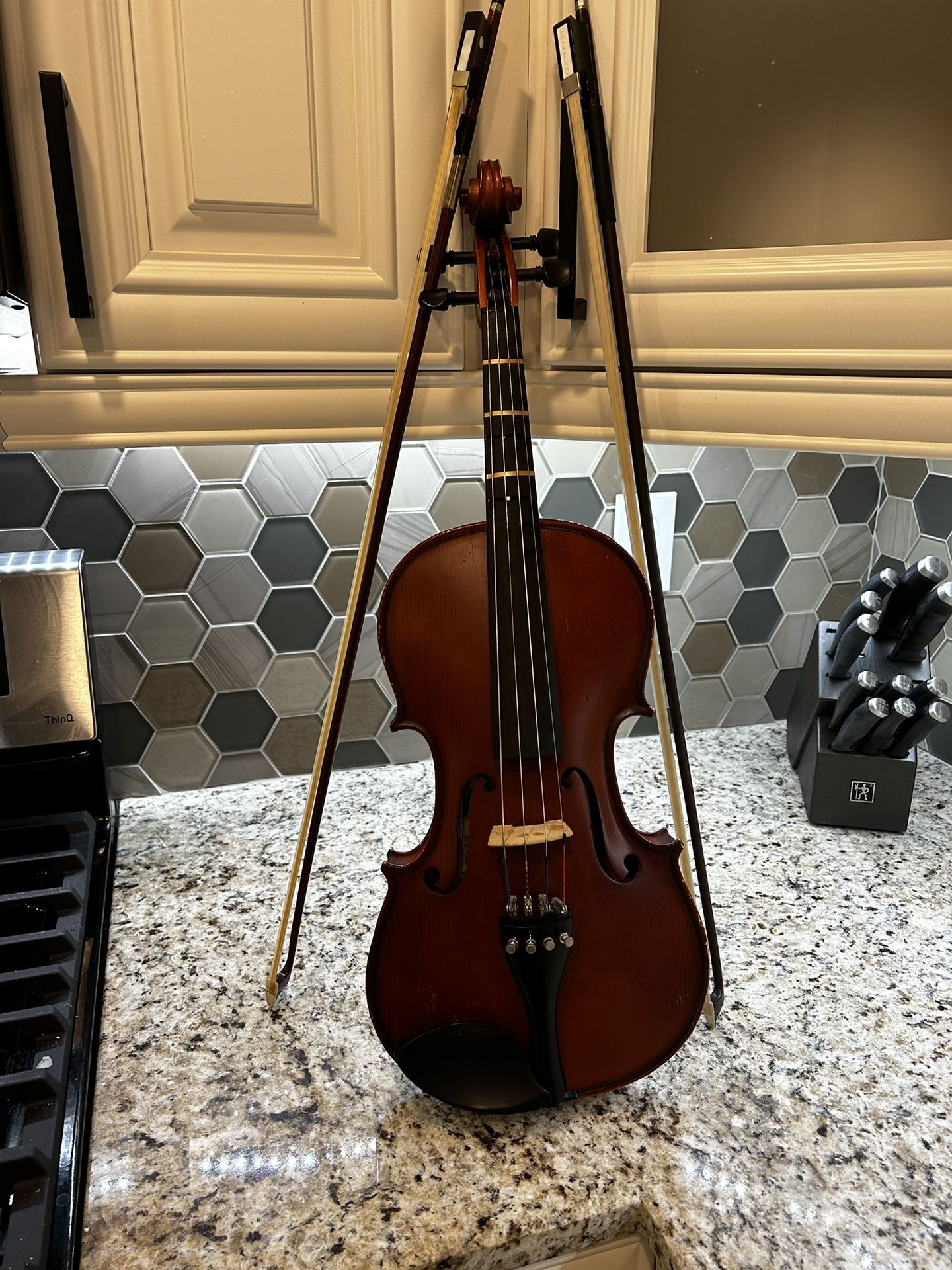 Viola