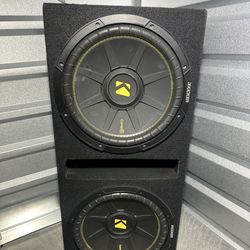 Ported  Sub Box With 2 12in Kickers 