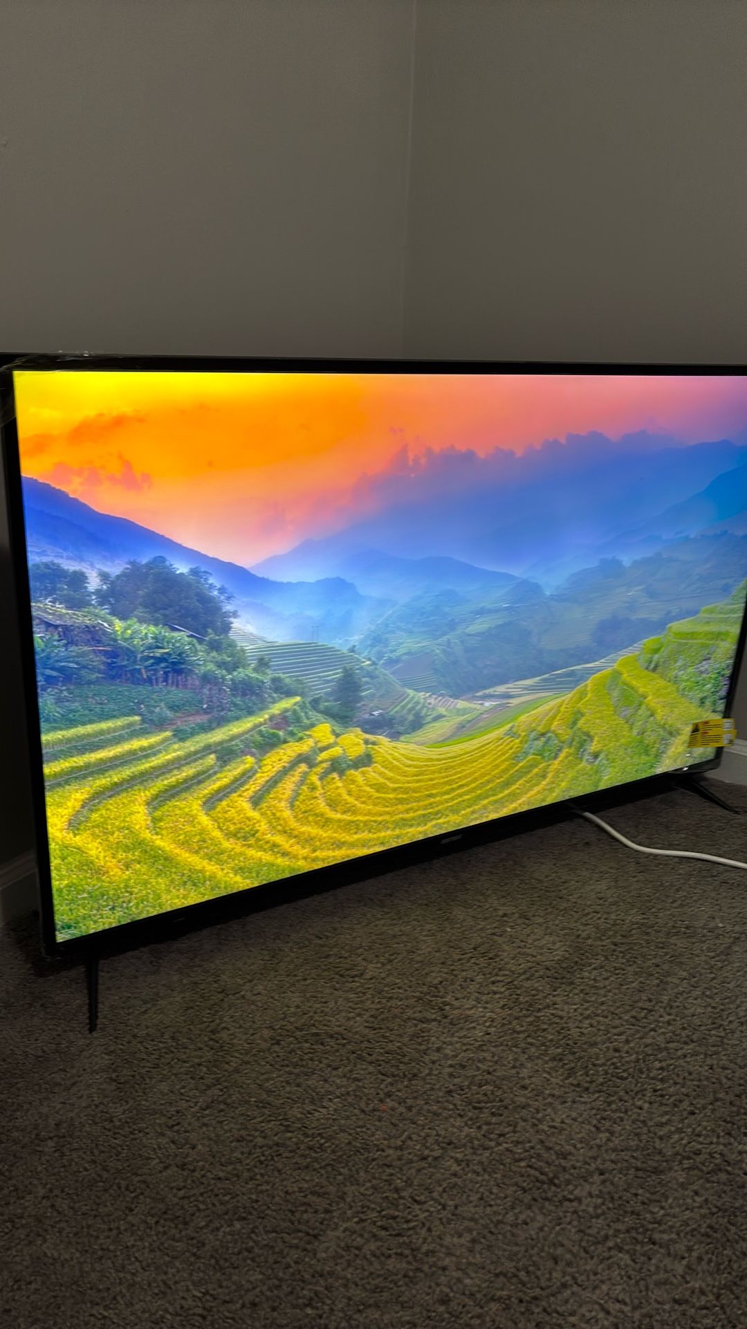 65 Inch Smart Element TV