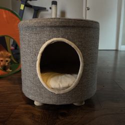 Cat Bed