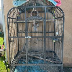 Bird Cage 