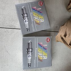 Maserati/ Ferrari NGK Spark Plugs(8) - 310235