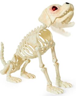 JOYIN Halloween Golden Retriever Skeleton 34”