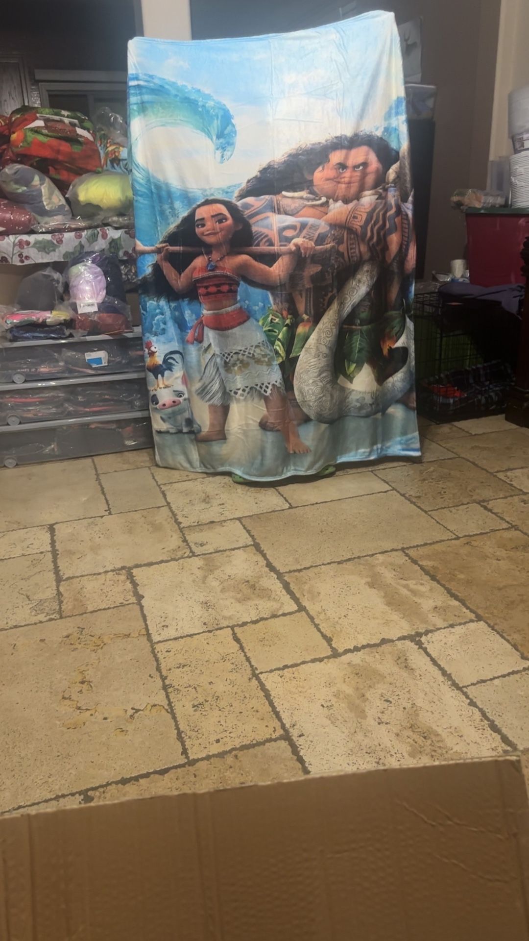Moana Blanket