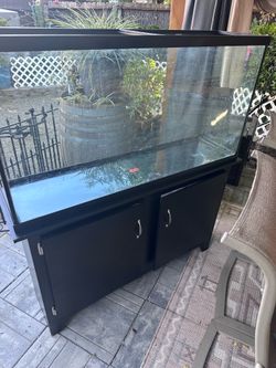 TWO - 65 Gallon Aquarium tank and stand only