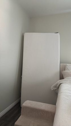 FREE Twin Mattress