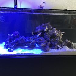 91 Gallon 4 Foot RedSea Reef Tank All Plumbing/ Supplies Included No Livestock