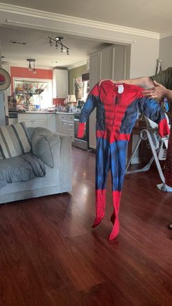Spider-Man costume