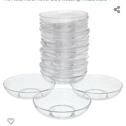 Clear Plastic  Saucer Plant dip Tray (Set Of 20)