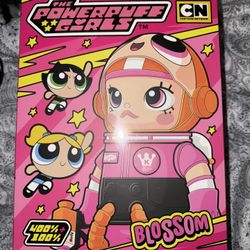 MEGA Space Molly 💗 Powerpuff Girls, BLOSSOM