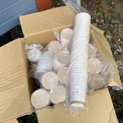 16oz Coffee Cups