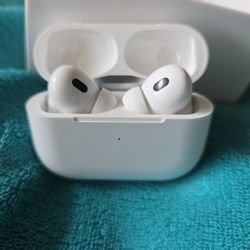 Earbuds