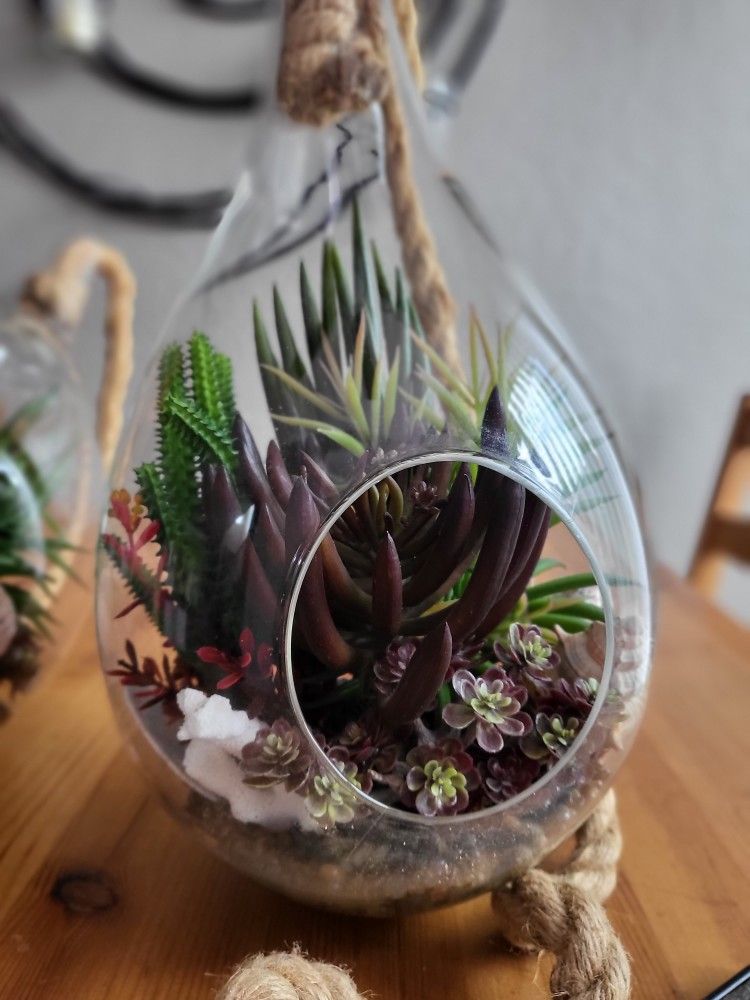 Decorative Hanging Succulent Plant In Teardrop Glass