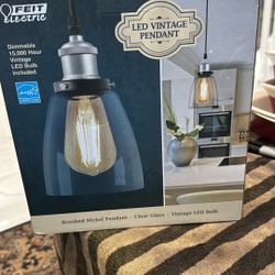 FEIT  ELECTRIC VINTAGE LIGHT PENDANT 