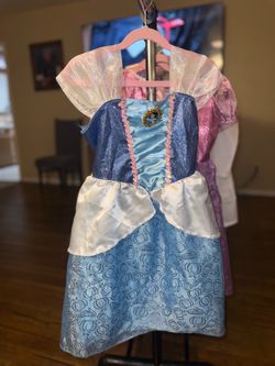 Cinderella Costume Dress