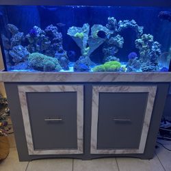 75 Gallon Tank 