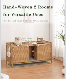 Cat box / storage enclosure