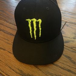Monster SnapBack Hat