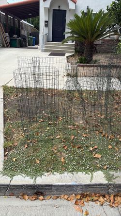 Wire Garden Tomato Cages Set