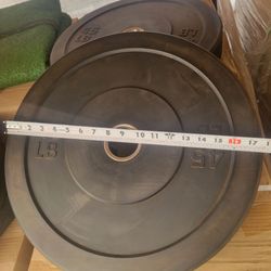 45LBS BUMPER WEIGHTS