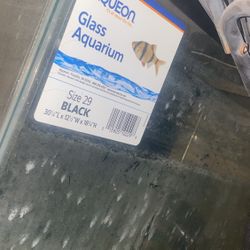 Fish Aquarium 