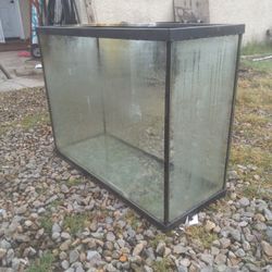 Fish Tank