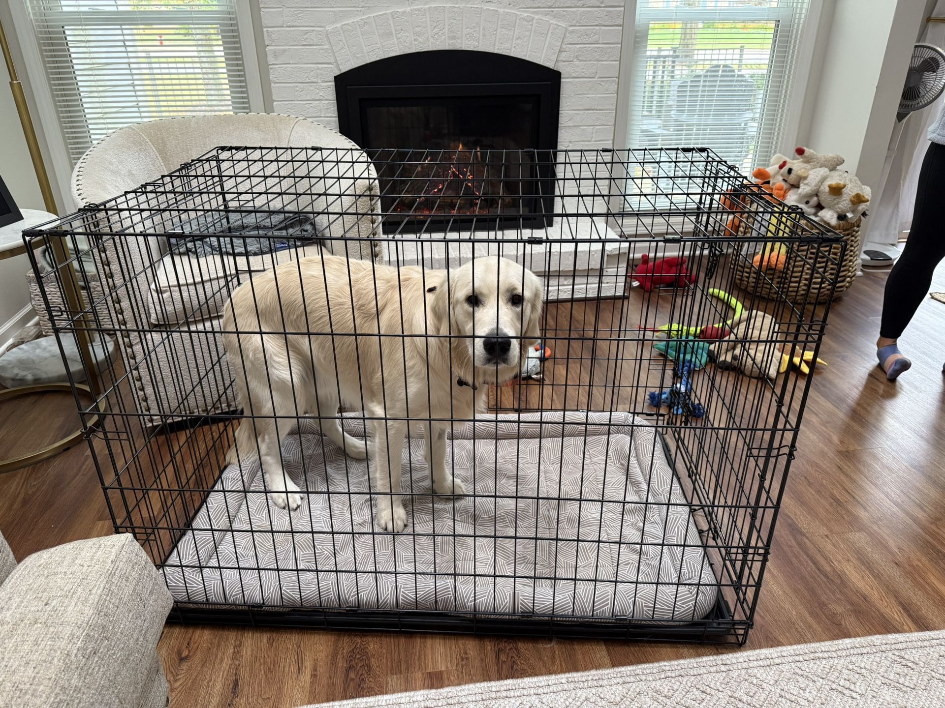 Large Dog Crate Like New $60