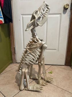 Dog skeleton Halloween decor