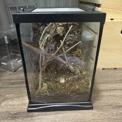 Reptile/Insect Tank 