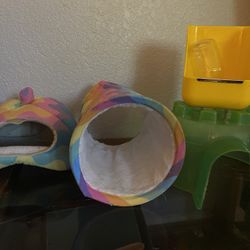 Guinea Pig Stuff 
