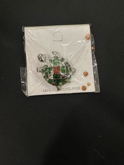 Silver Turtle Pin