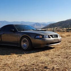 2002 FORD MUSTANG GT