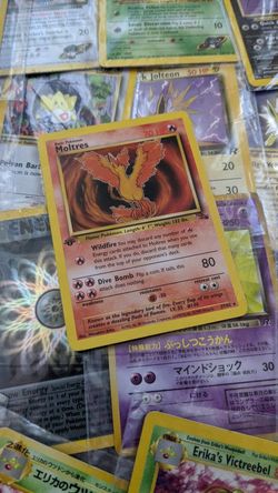 MOLTRES **RARE *MINT* 1ST EDITION FROM THE JUNGLE SET**