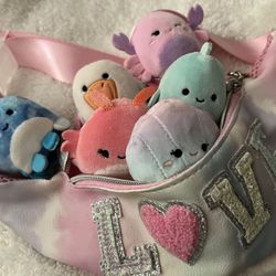 6 Squishville Squishmallows In Zipper Pouch