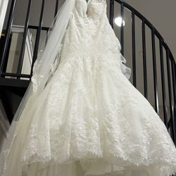 Wedding Dress And Veil