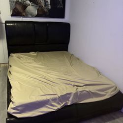 Queen Bed Frame 