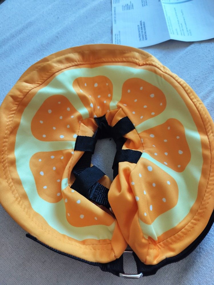 Dog Cone Must Pick Up