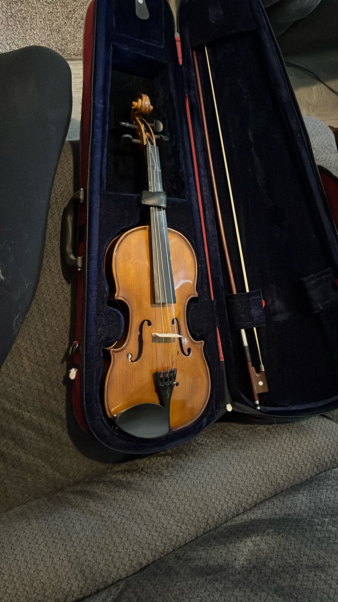 Violin
