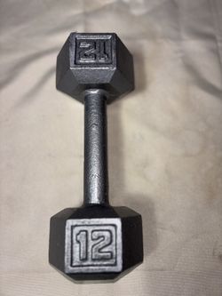 One 12 Lb Dumbbell 