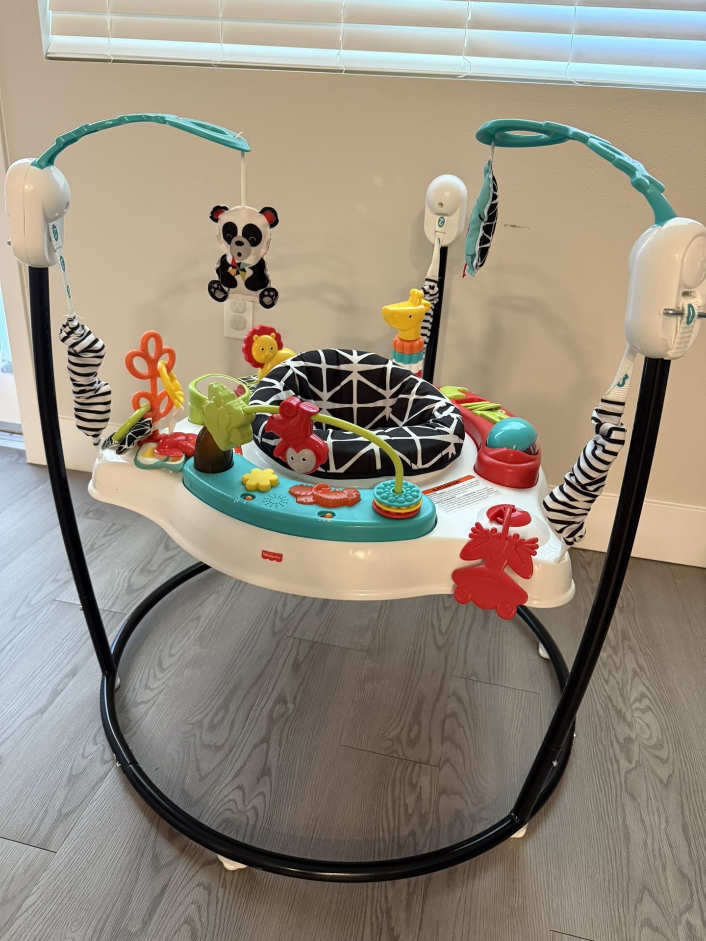 Fisherprice Baby Bouncer