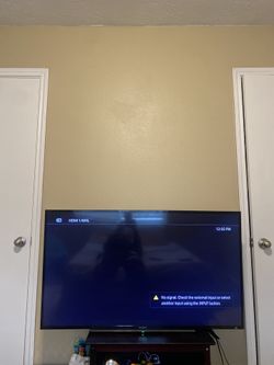 Sony 55” Flat Screen TV