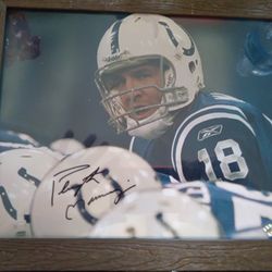 Peyton Manning Autographed 8 X 10 Framed Picture