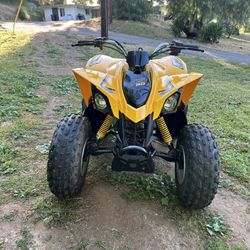 2008 Can-am Ds 90cc