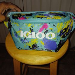 Igloo Cooler Bag