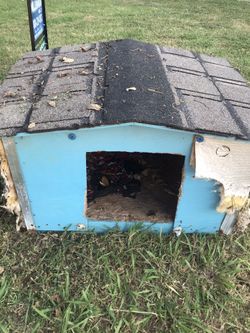 Dog house