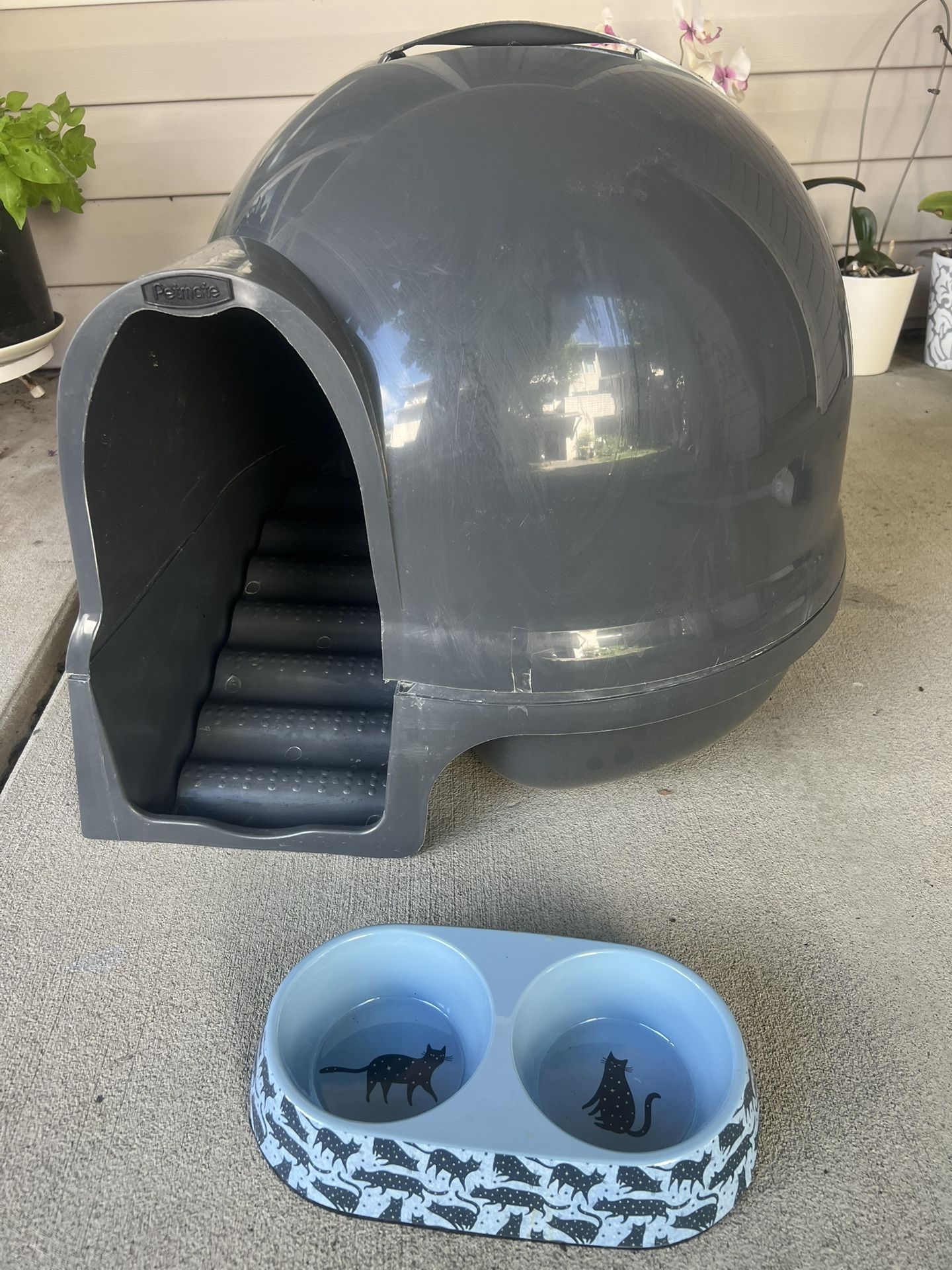 Cat Litter